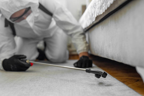 Professional Termite Control technician working in Harker Heights, TX