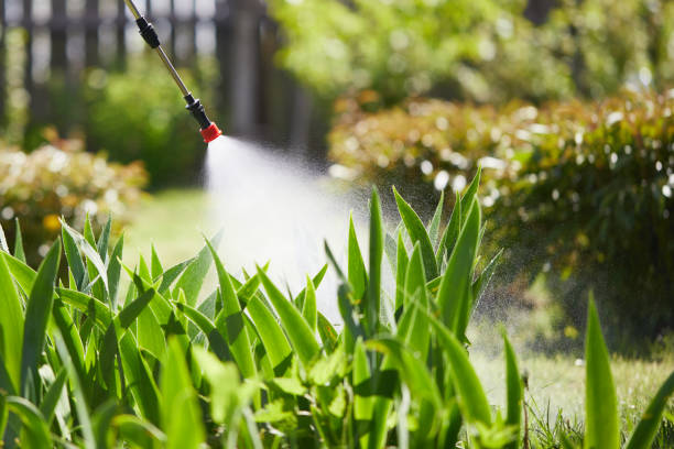 24/7 Emergency Termite Control experts in Harker Heights, TX