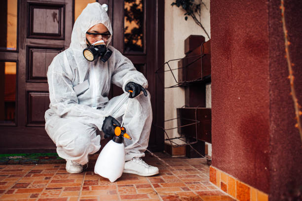 Reliable Termite Control contractor in Harker Heights, TX by Nex Pest Control