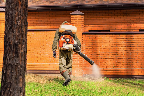 Trusted Bed Bug Control service in Harker Heights, TX - Nex Pest Control